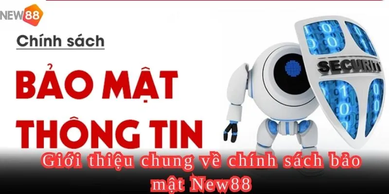 Giới thiệu tổng quan về chính sách bảo mật của New88