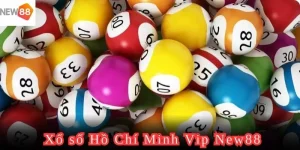 Hồ Chí Minh VIP